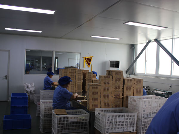 哪家膏藥oem貼牌加工廠的性價比高？
